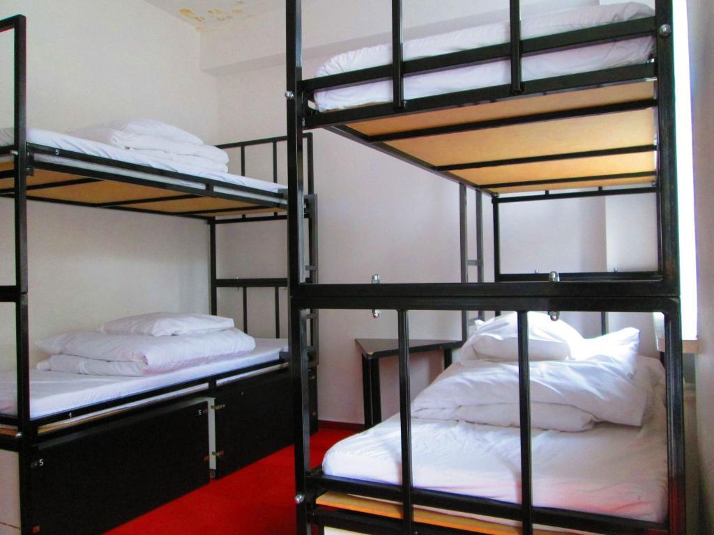 Wilson Hostel Warszawa الغرفة الصورة